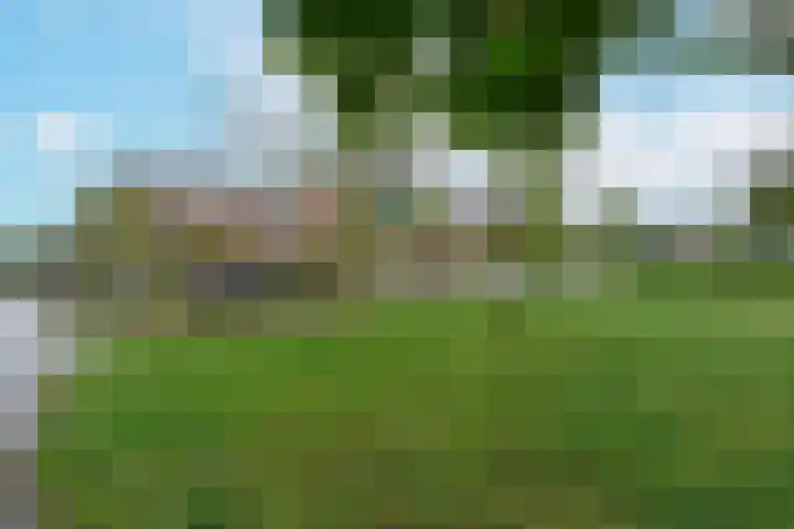 Slotemaker de Bruïneweg 40 Nijmegen thumbnail 24