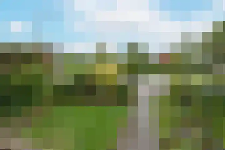 Slotemaker de Bruïneweg 40 Nijmegen thumbnail 25