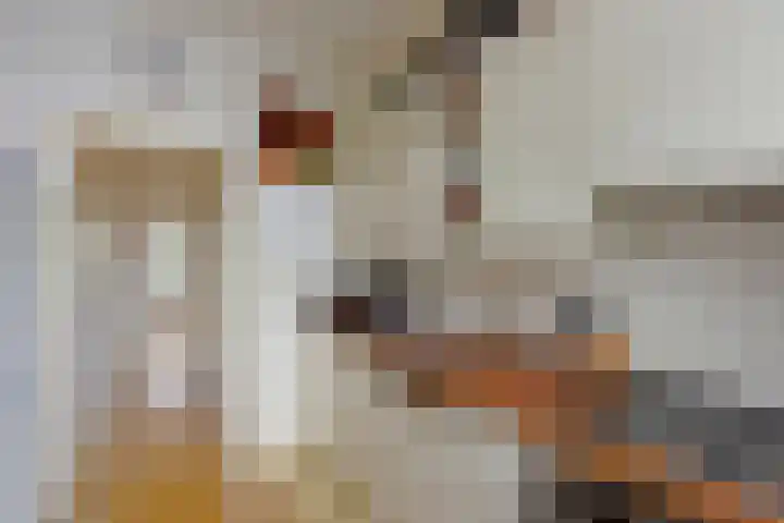 Slotemaker de Bruïneweg 40 Nijmegen thumbnail 8