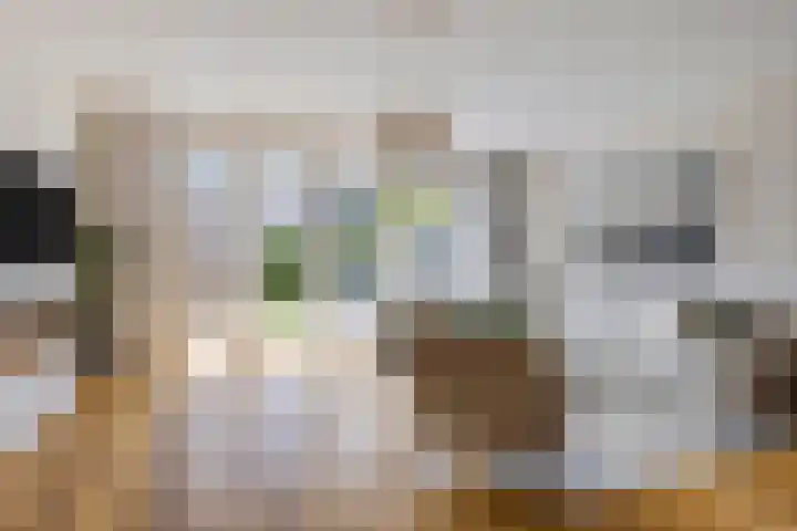 Slotenhagenstraat 27 Zwolle thumbnail 6