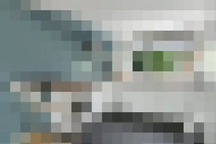 Slotenmakerstraat 3 Zwolle thumbnail 11