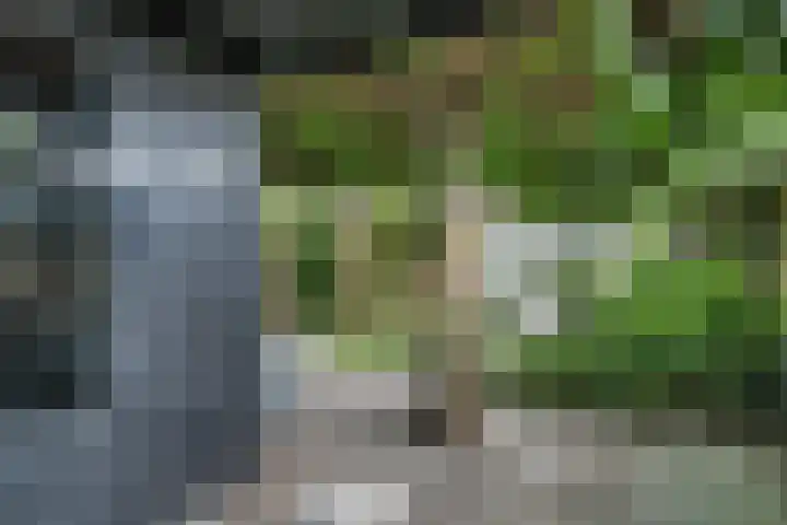 Slotenmakerstraat 3 Zwolle thumbnail 34