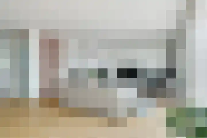 Slotenmakerstraat 3 Zwolle thumbnail 4