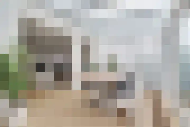 Slotenmakerstraat 3 Zwolle thumbnail 8
