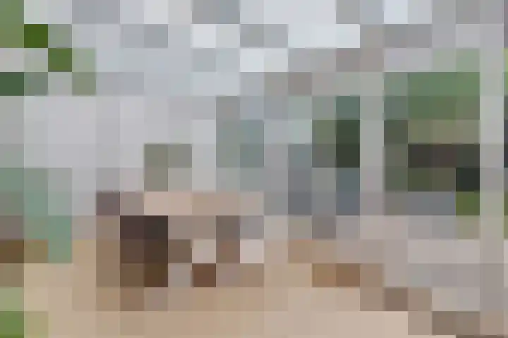 Slotenmakerstraat 3 Zwolle thumbnail 9