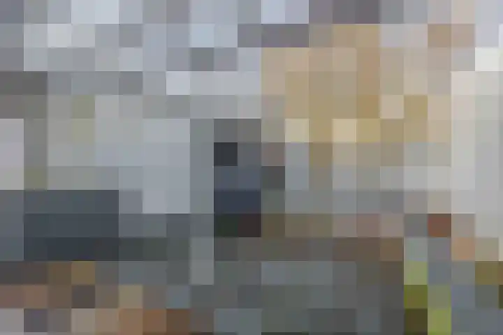 Sloterbeekstraat 25 Venlo thumbnail 7