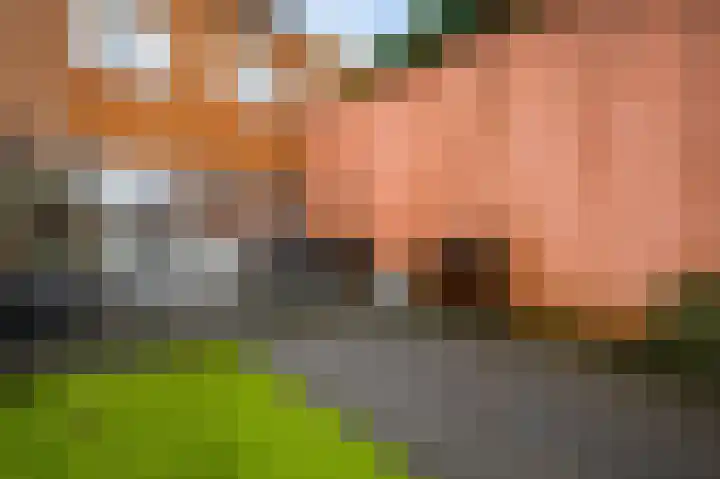 Sloterbeekstraat 60 A Venlo thumbnail 23