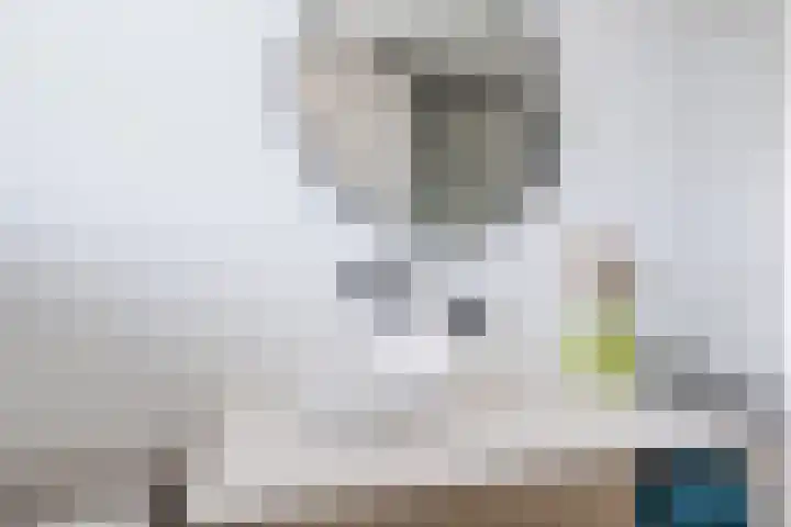 Sloterdijkstraat 3 Tilburg thumbnail 22