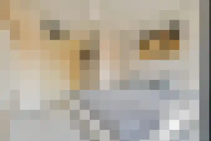 Sloterkade 100 Amsterdam thumbnail 17