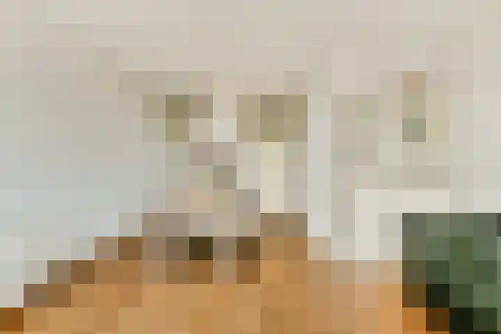 Sloterkade 105 Amsterdam thumbnail 11