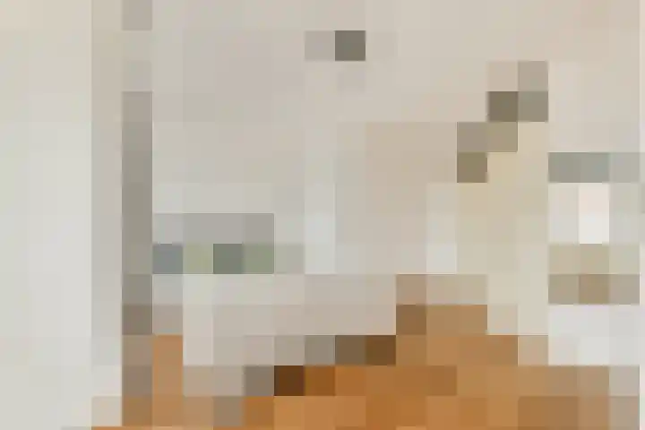 Sloterkade 105 Amsterdam thumbnail 20