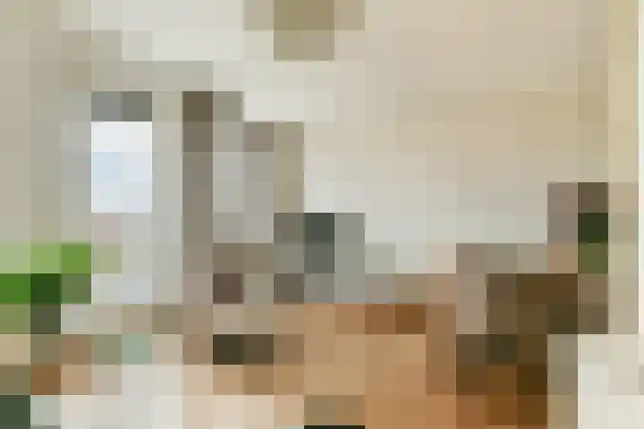 Sloterkade 105 Amsterdam thumbnail 8