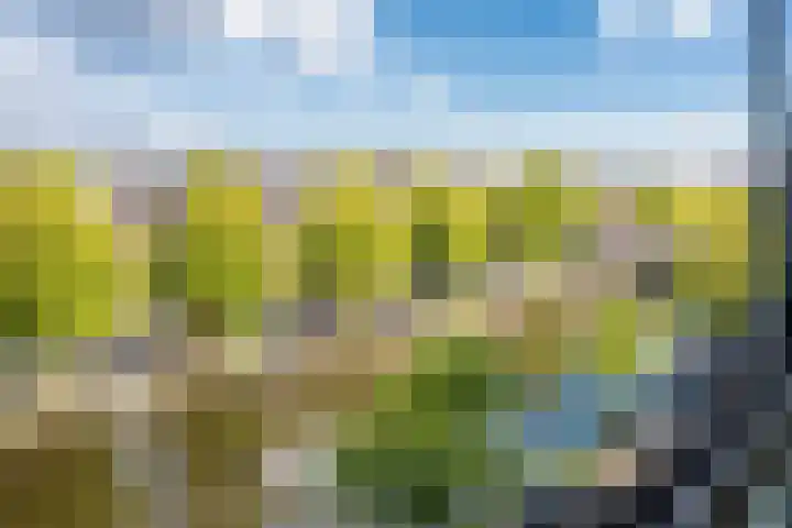 Sloterkade 137 B Amsterdam thumbnail 11