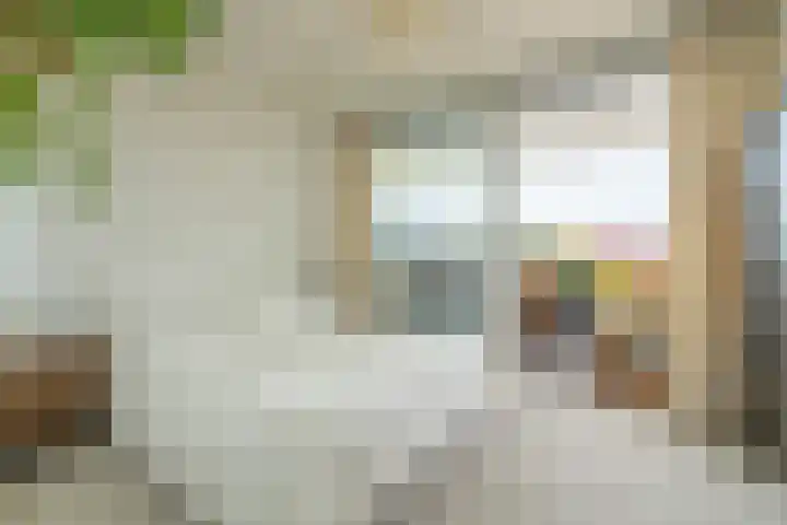 Sloterkade 137 B Amsterdam thumbnail 20
