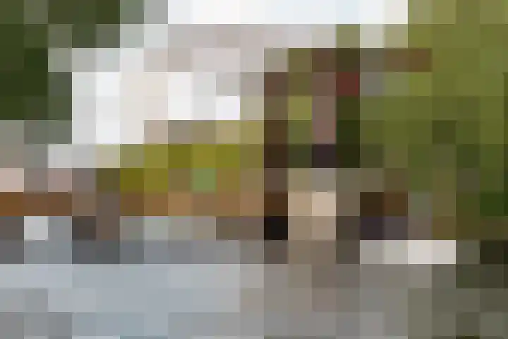 Sloterkade 137 B Amsterdam thumbnail 29