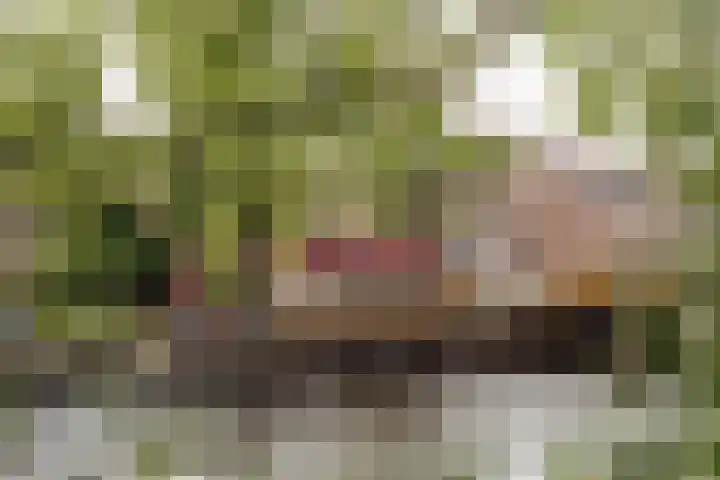 Sloterkade 137 B Amsterdam thumbnail 30