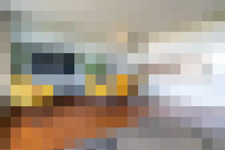 Sloterkade 137 B Amsterdam thumbnail 6