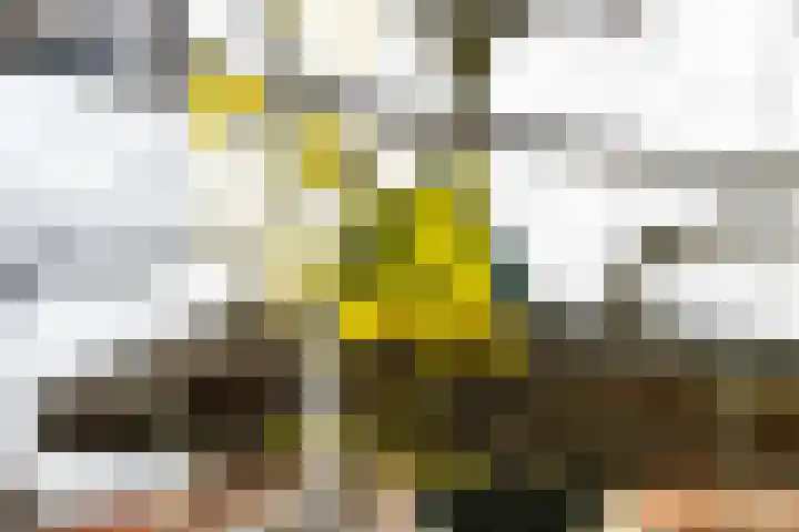 Sloterkade 167 D Amsterdam thumbnail 47