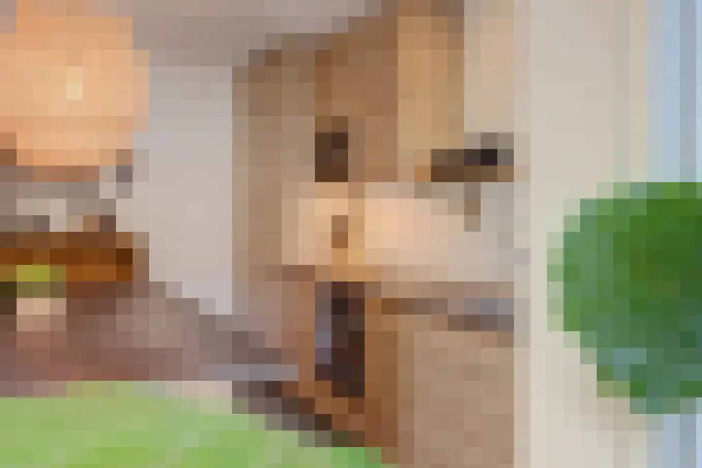 Sloterkade 173 Amsterdam thumbnail 10