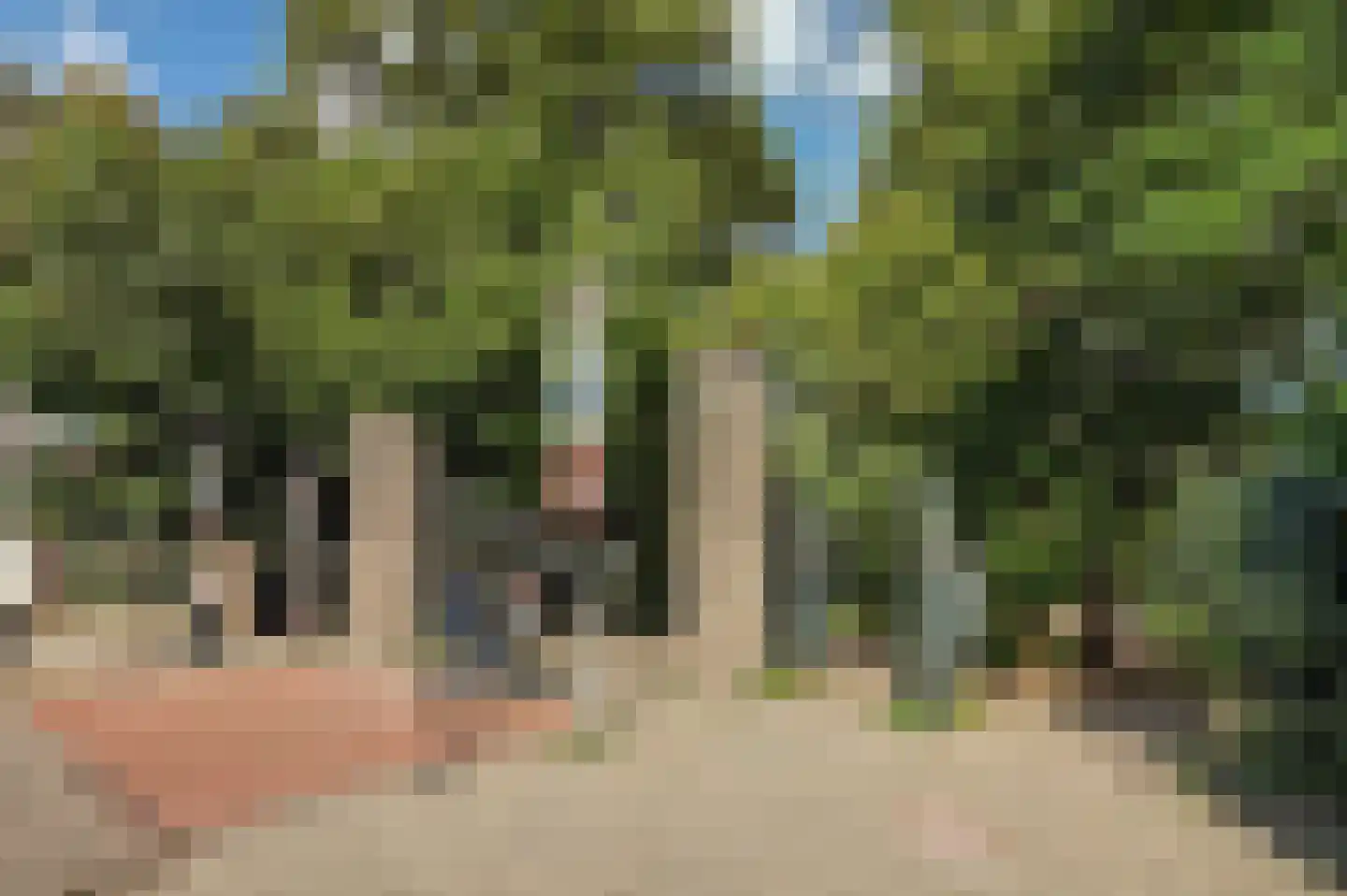 Sloterkade 173 Amsterdam thumbnail 62