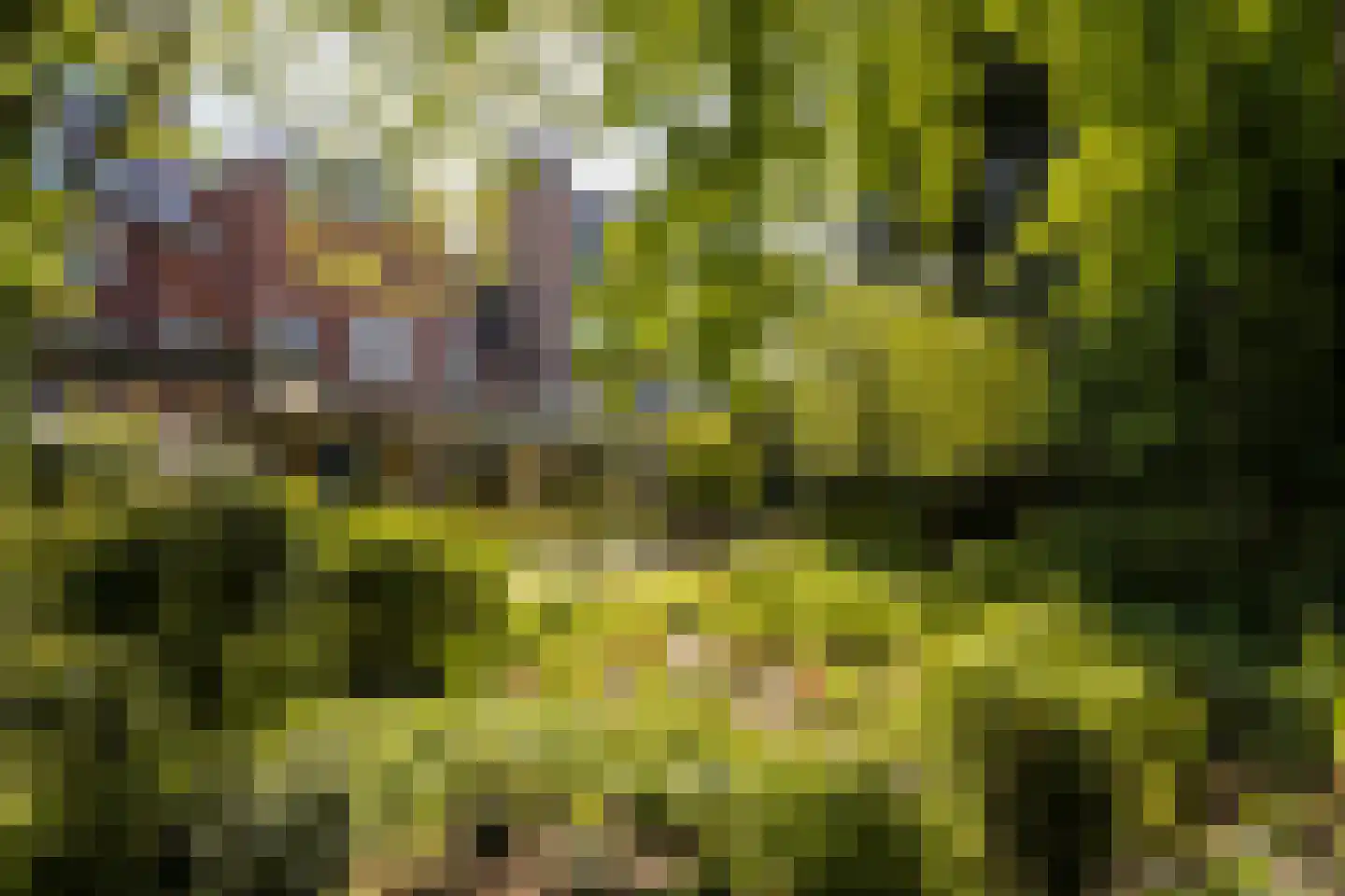 Sloterkade 2 H Amsterdam thumbnail 32