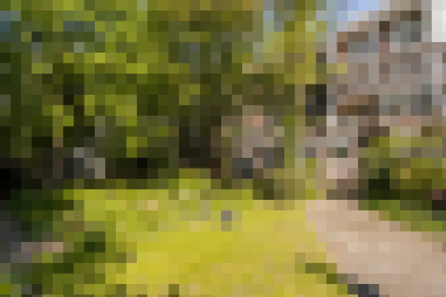 Sloterkade 2 H Amsterdam thumbnail 33