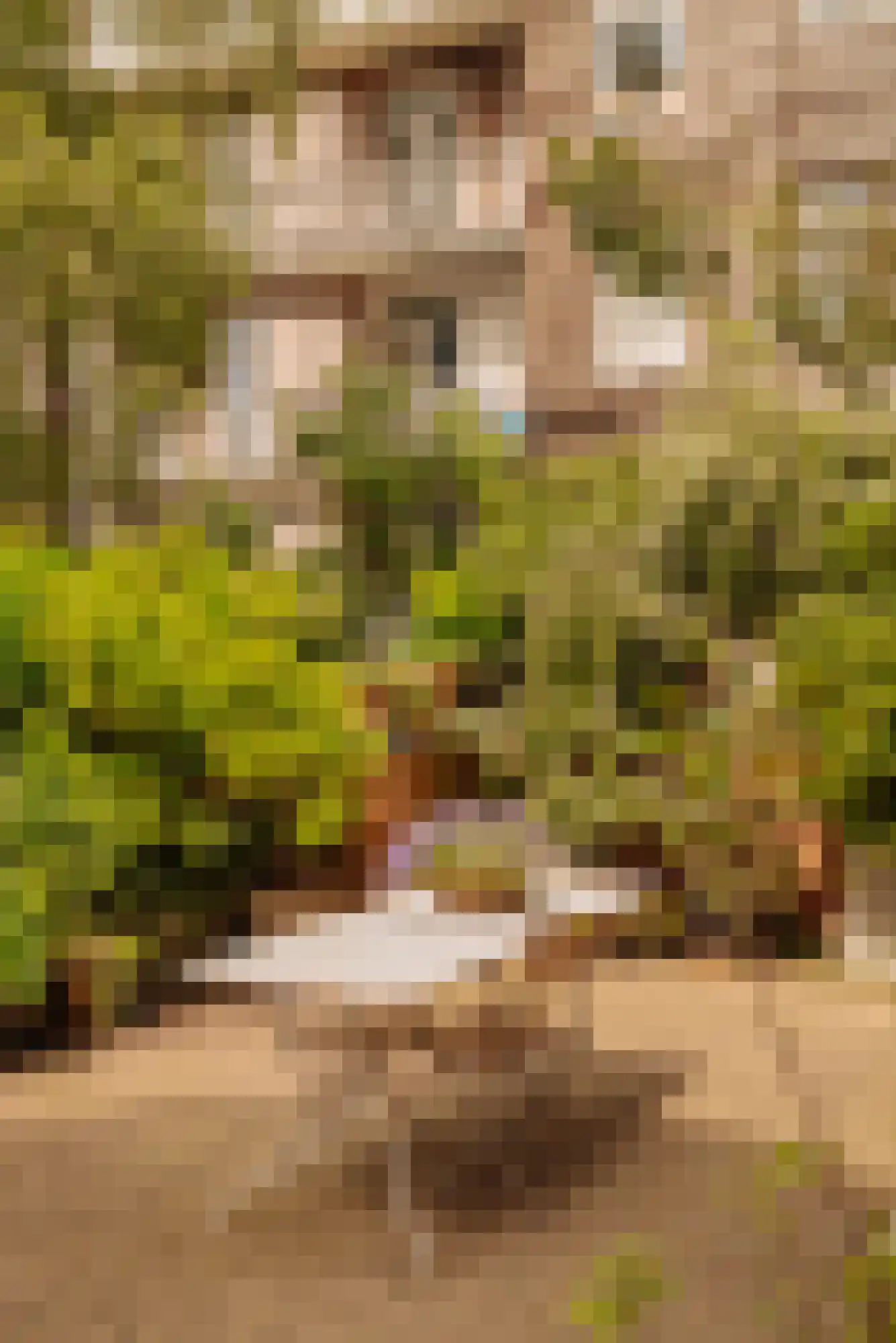 Sloterkade 22 F Amsterdam thumbnail 25