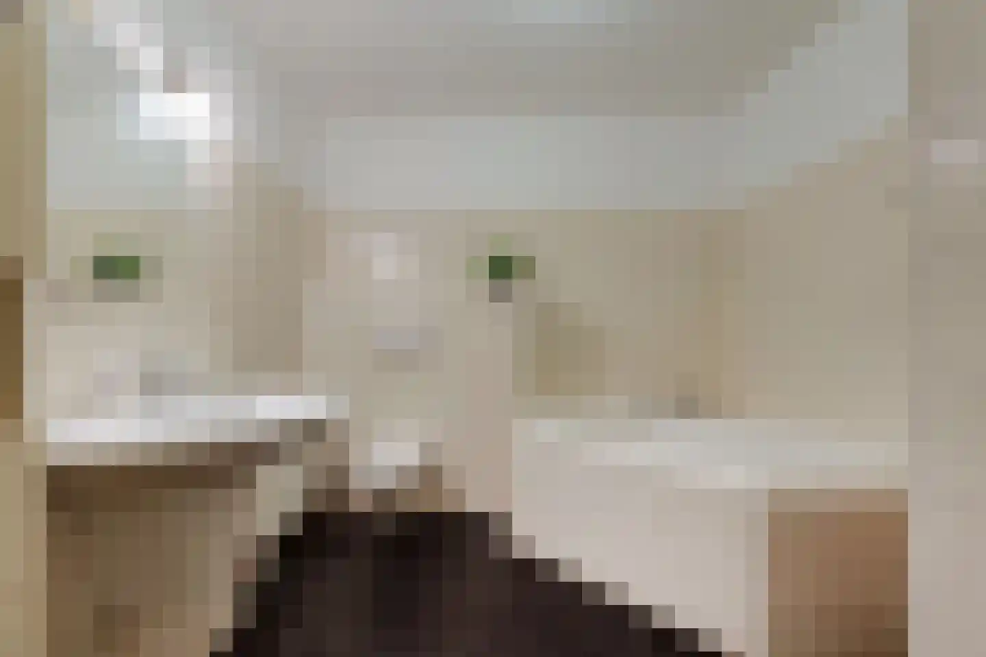 Sloterkade 23 C Amsterdam thumbnail 28