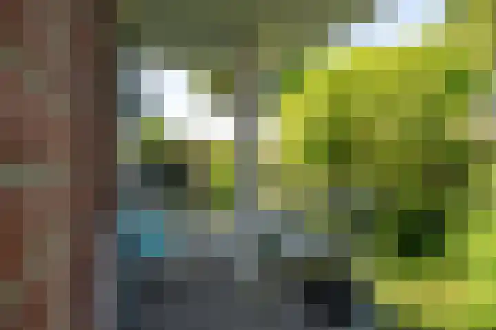 Sloterkade 36 A Amsterdam thumbnail 18