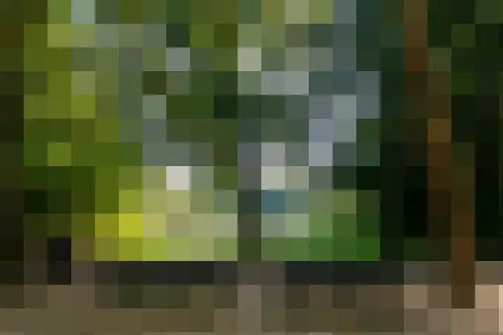 Sloterkade 36 A Amsterdam thumbnail 32