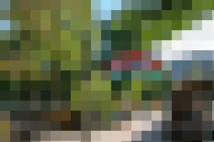 Sloterkade 36 A Amsterdam thumbnail 33