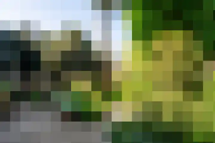 Sloterkade 36 A Amsterdam thumbnail 34
