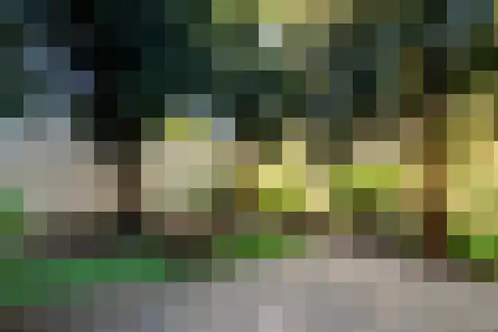 Sloterkade 36 A Amsterdam thumbnail 35