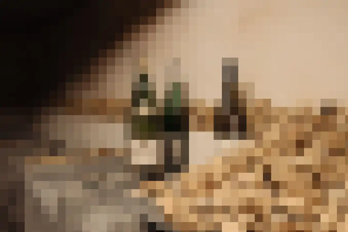 Sloterkade 55 Amsterdam thumbnail 13