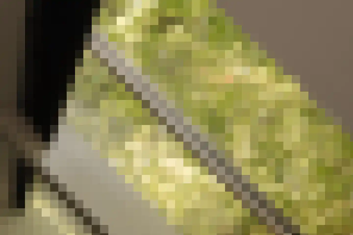 Sloterkade 55 Amsterdam thumbnail 15