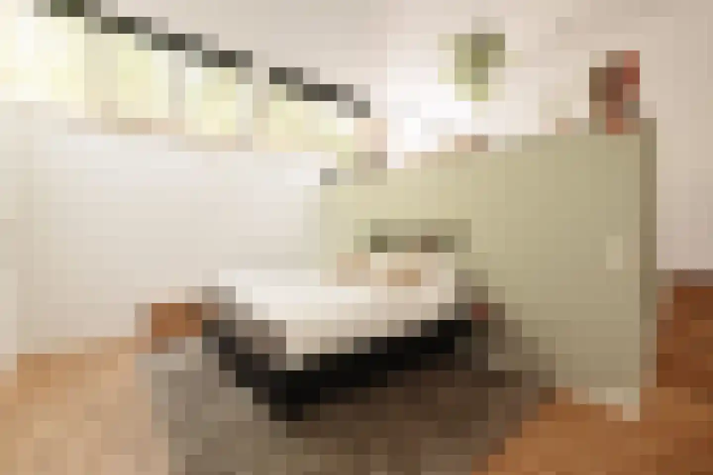 Sloterkade 55 Amsterdam thumbnail 17