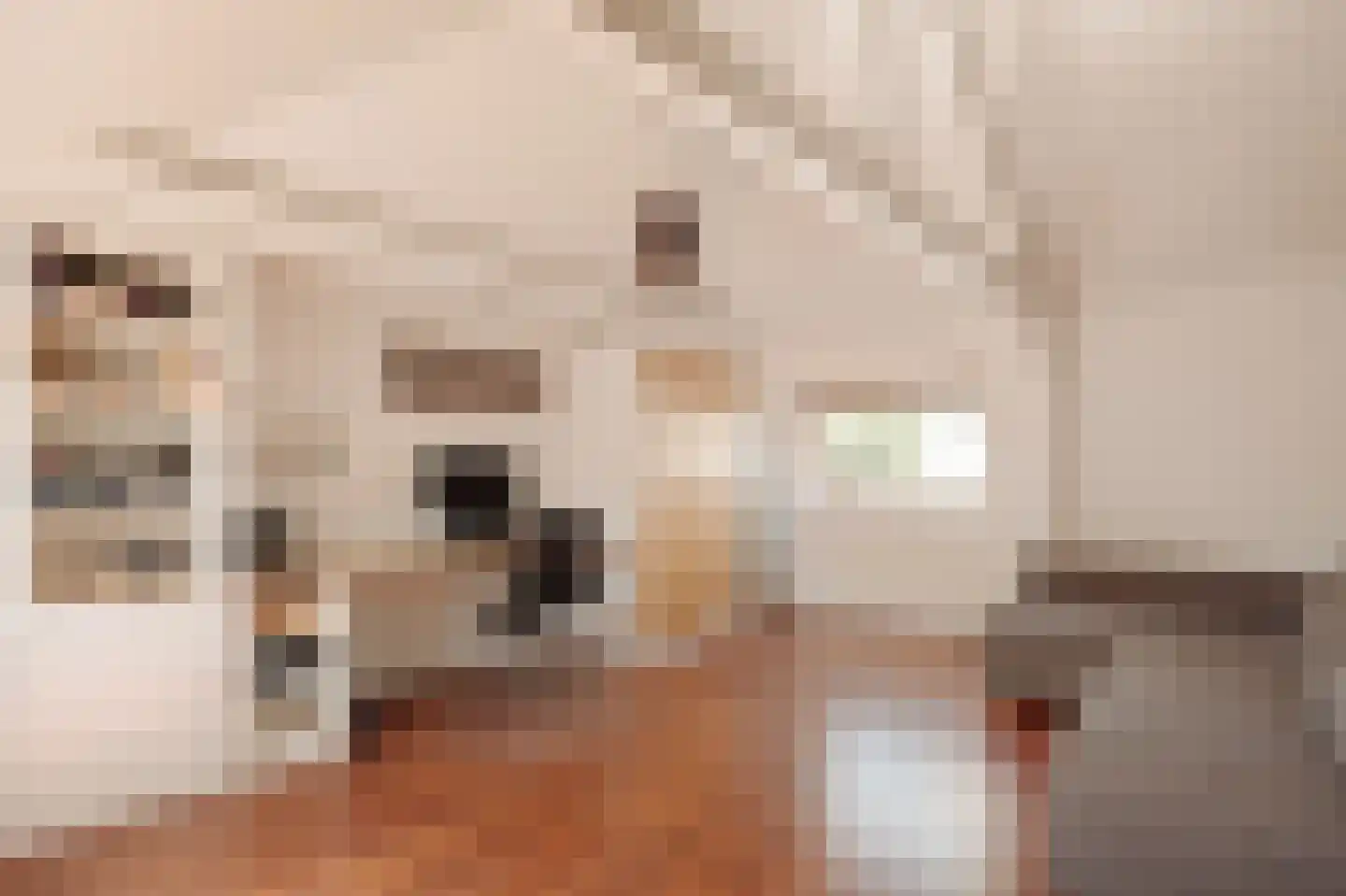 Sloterkade 55 Amsterdam thumbnail 30