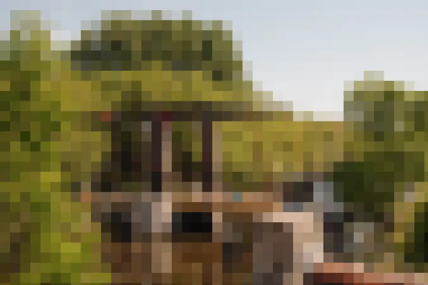 Sloterkade 55 Amsterdam thumbnail 36