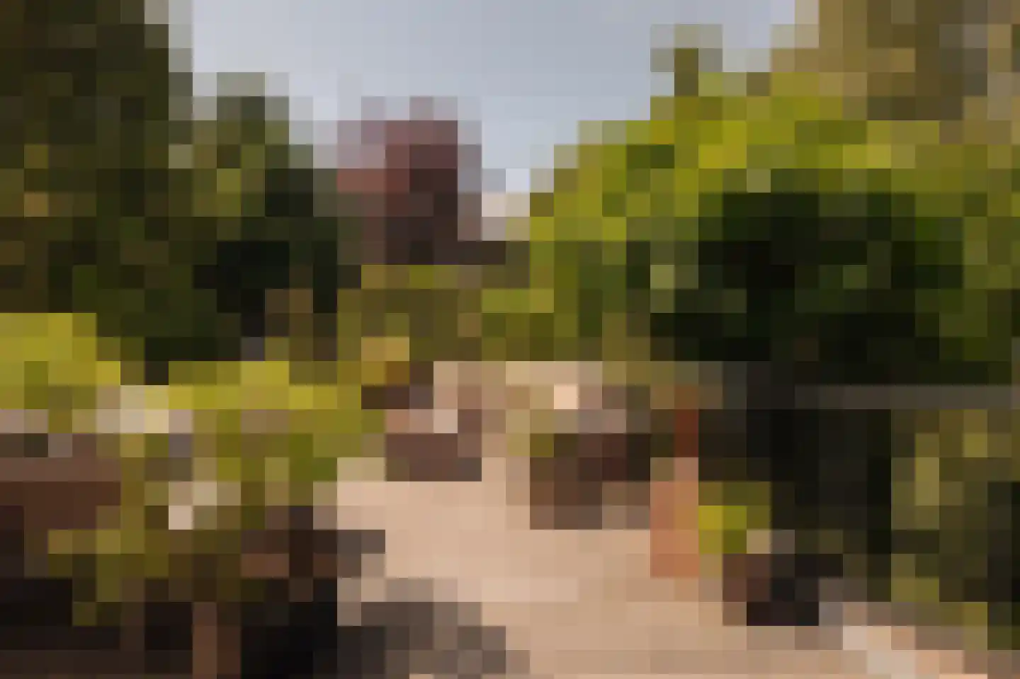 Sloterkade 55 Amsterdam thumbnail 5
