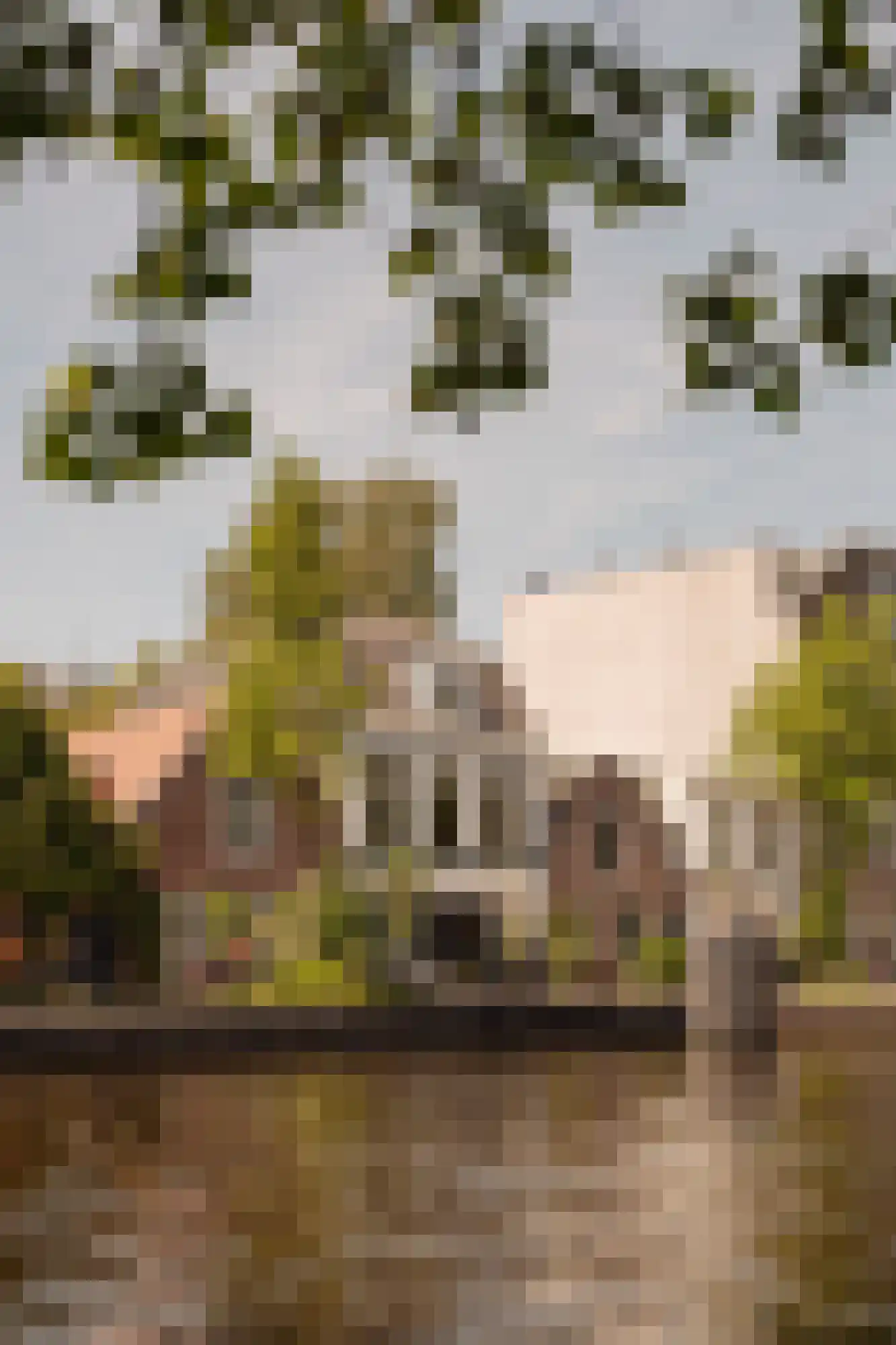 Sloterkade 55 Amsterdam thumbnail 6