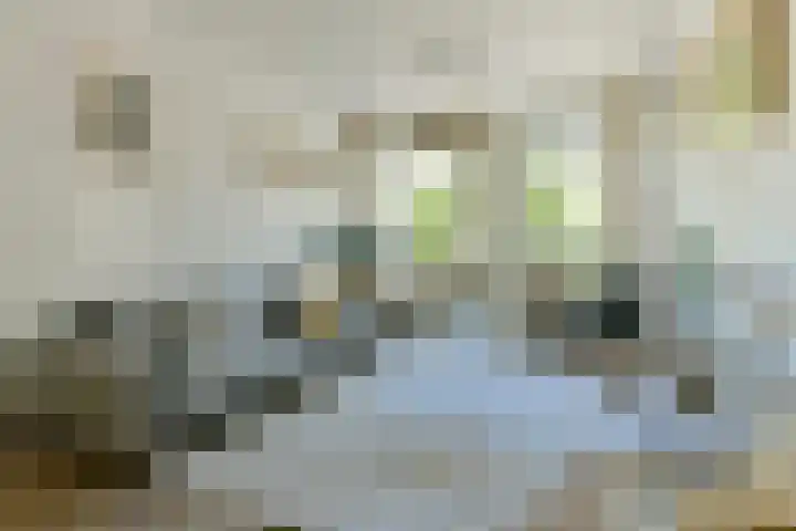 Sloterkade 79 Amsterdam thumbnail 4