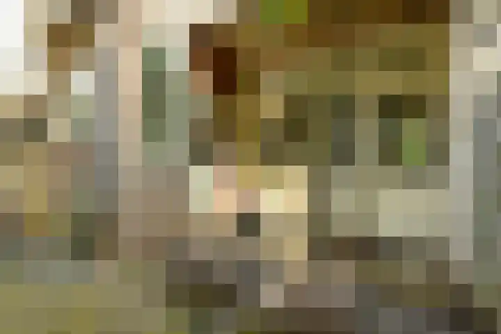 Sloterkade 79 Amsterdam thumbnail 7