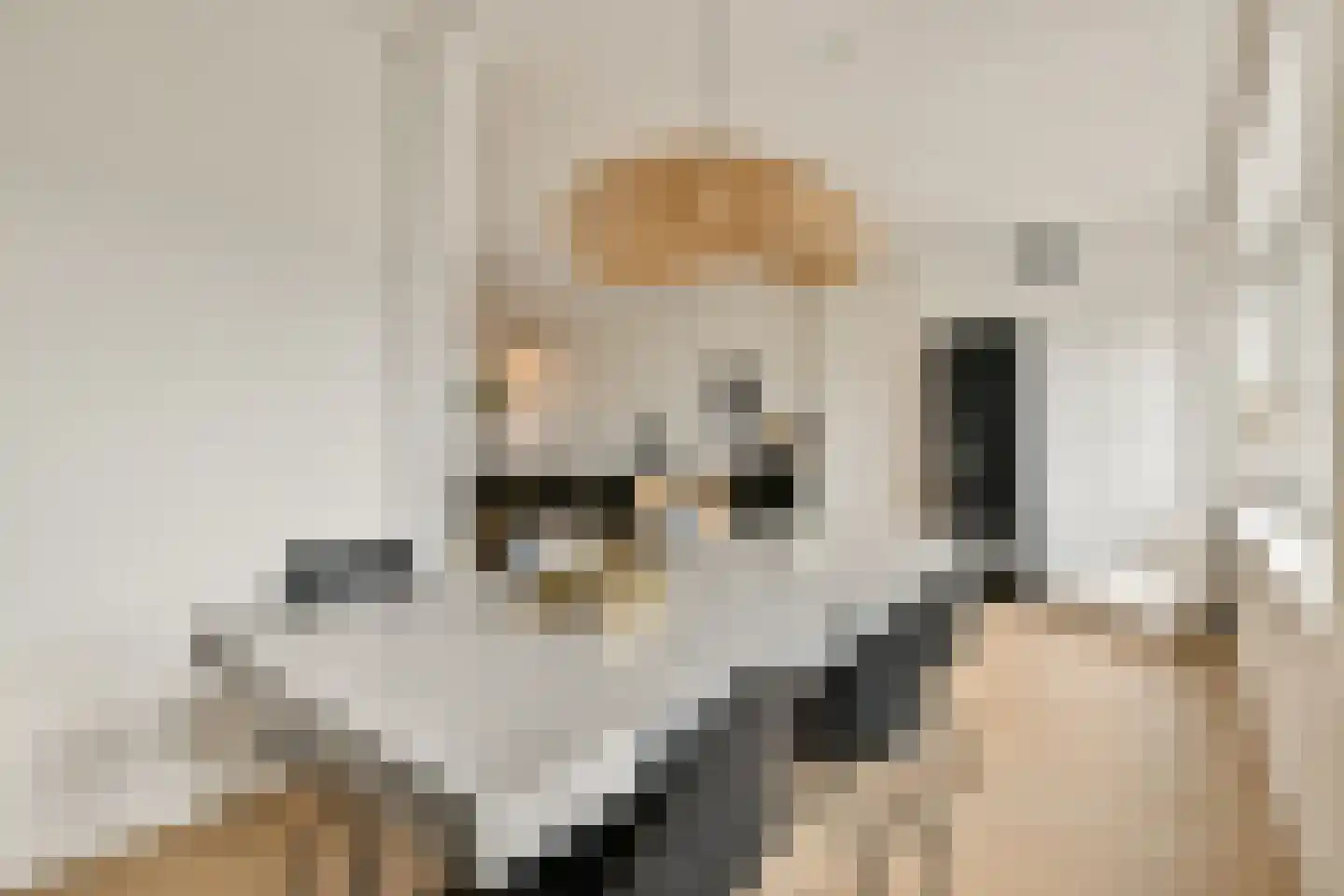 Sloterkade 8 3 Amsterdam thumbnail 9