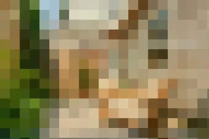 Sloterkade 83 1 Amsterdam thumbnail 17