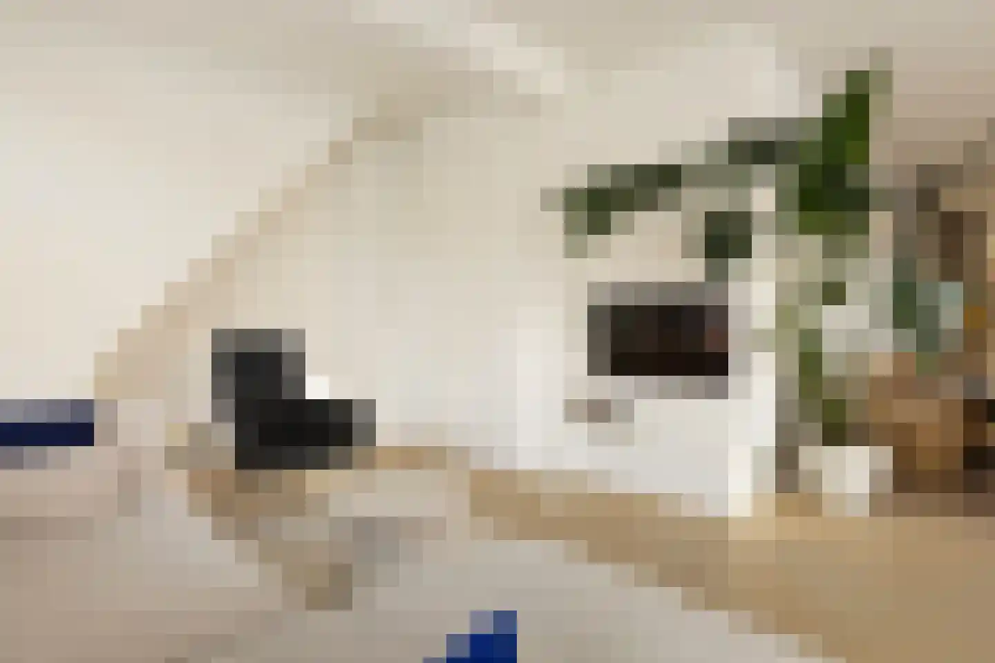 Sloterkade 85 1 Amsterdam thumbnail 14