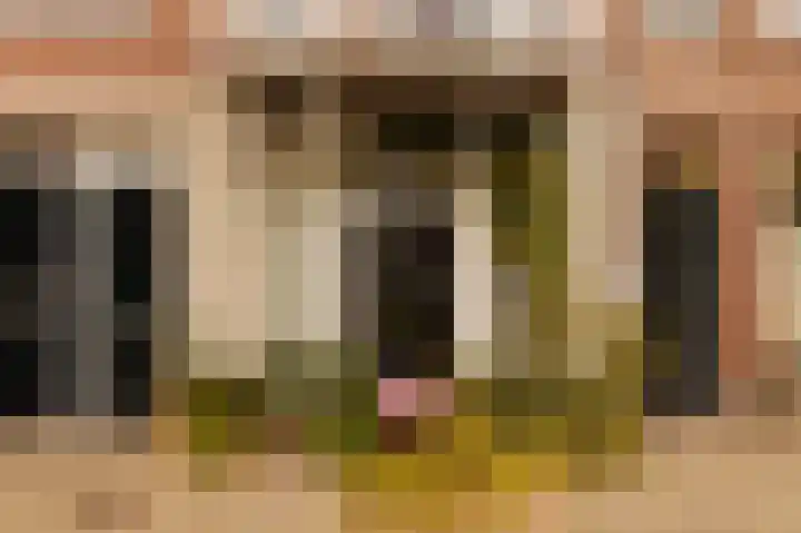 Sloterkade 86 1 Amsterdam thumbnail 15