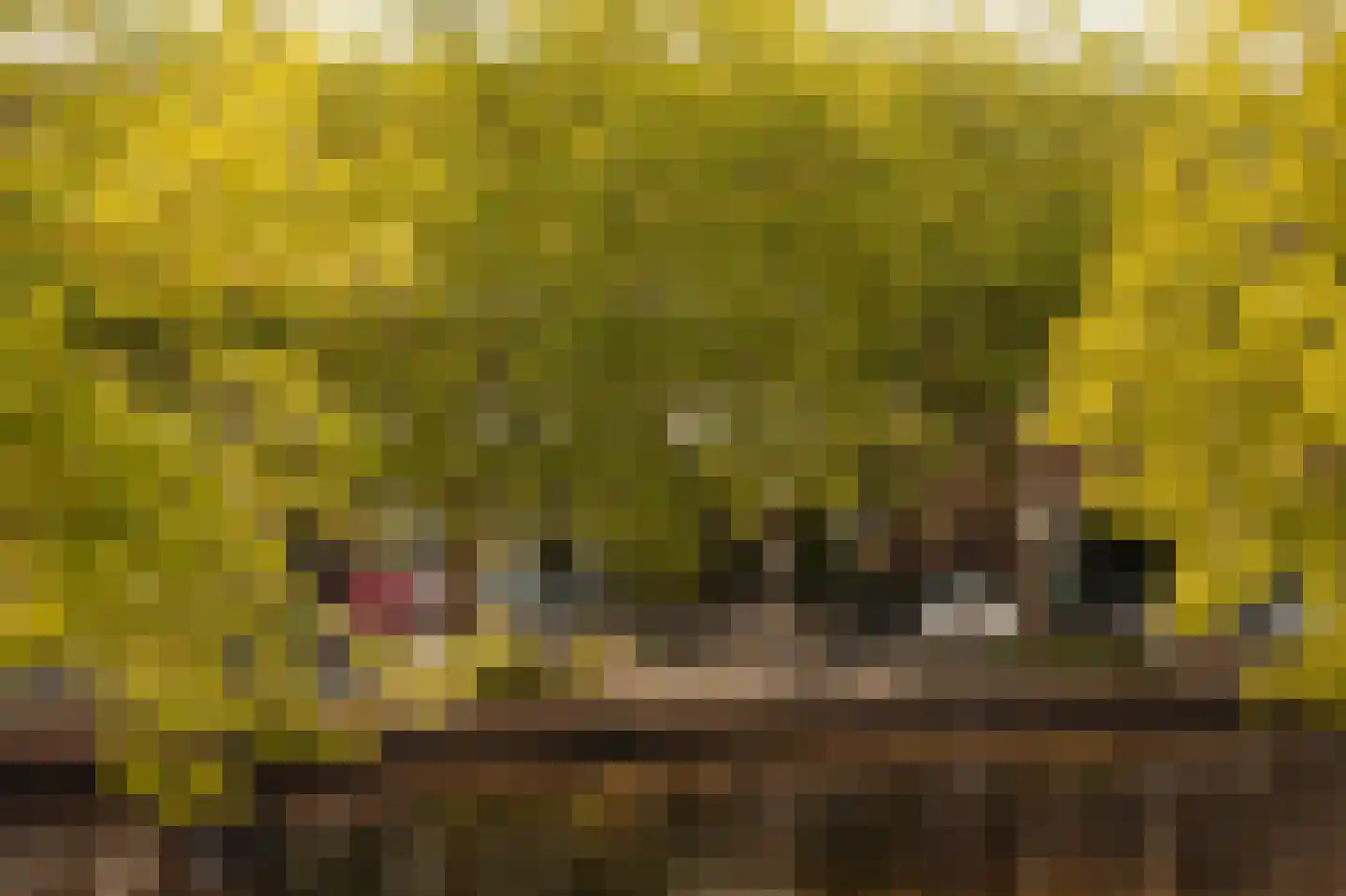 Sloterkade 90 H Amsterdam thumbnail 27