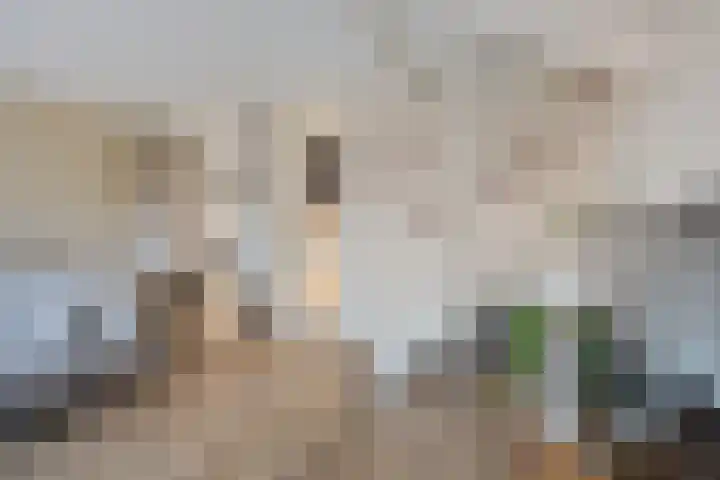 Slotermeer 15 Zoetermeer thumbnail 10