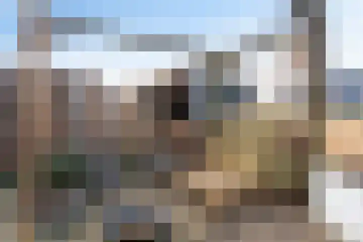 Slotermeer 15 Zoetermeer thumbnail 22