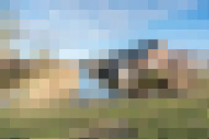 Slotermeer 15 Zoetermeer thumbnail 26